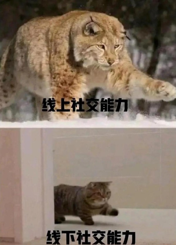 陈幸同周启豪取关背后：社交媒体暗语正在重构现代情感？