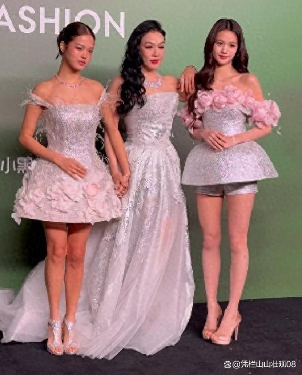 钟丽缇女儿红毯亮相乖巧与霸气，谁才是真焦点？