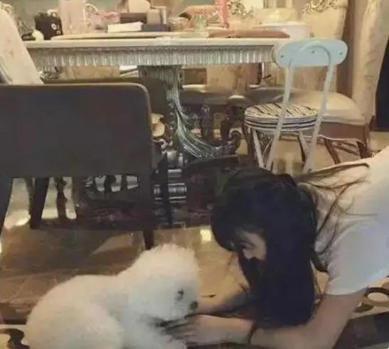 赵丽颖冯绍峰离婚，来回顾一下他们各自的豪宅啥样