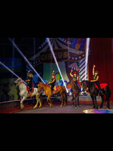 无锡动物园马戏嘉年华开演，空中飞人动物明星亮相