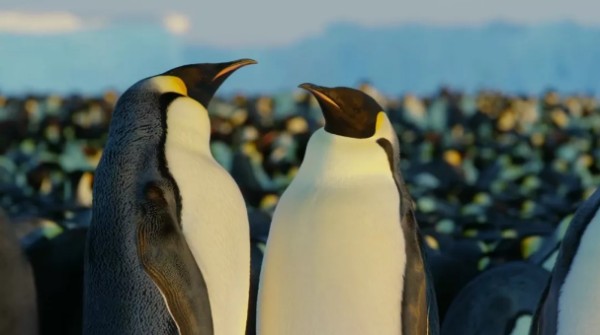 拆解《经济学人》精选合集：每天10分钟，英语水平或赶超9成国人！！ — 新京报