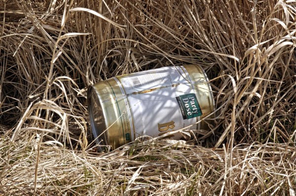 娱乐圈最新动态，明星们的新动向与热门事件一览