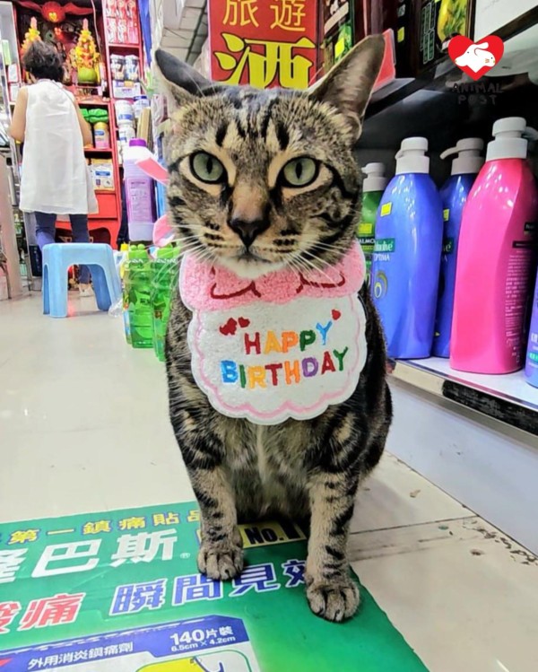 阻B下月生日，粉絲們希望盡快尋回他，平安回家。