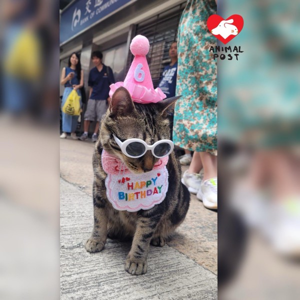 阻B下月生日，粉絲們希望盡快尋回他，平安回家。