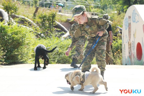 《小手牵小狗》罗志祥陈汉典频遭萌娃“套路”