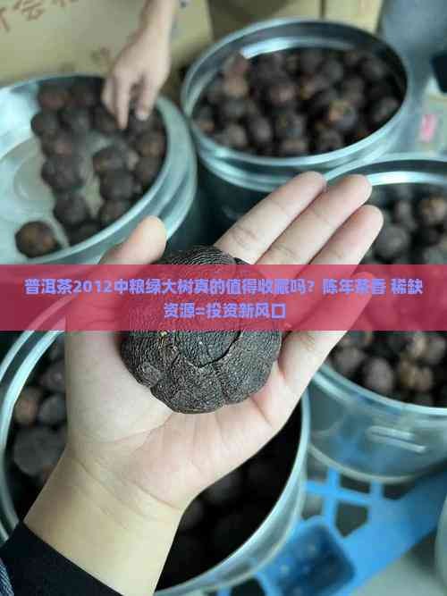 普洱茶2012中粮绿大树