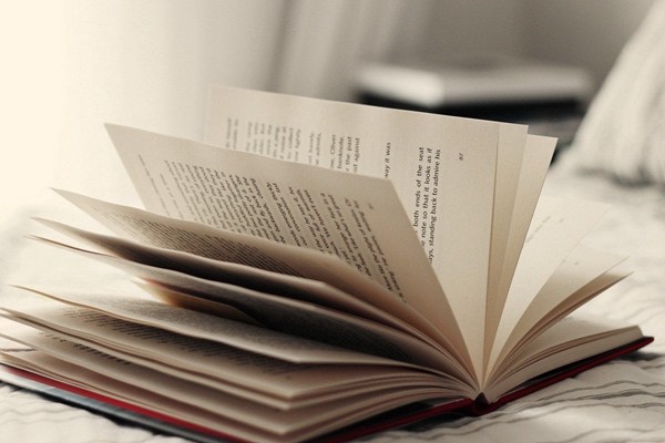 明星答题的综艺节目