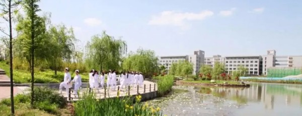 漯河医学高等专科学校——如何做好疫情防控的每一道关卡 辅导猫