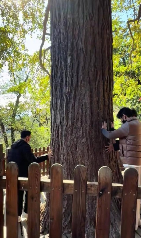 姜育恒操盘大孤山？明星扎堆玄都宫背后暗藏资本棋局