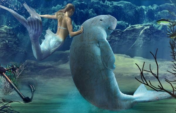 美人鱼既不是人也不是鱼，科学家认为和它关系最密切的竟然是大象