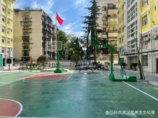 《2025届艺考生：机遇与挑战并存》