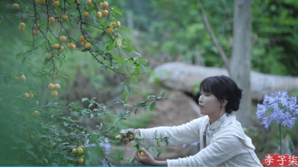 跟李子柒学“节气美学”:与大自然同频