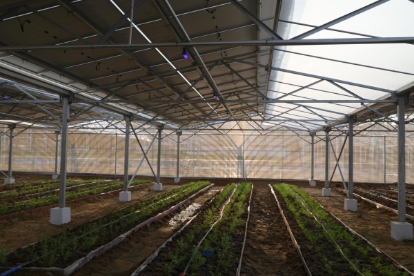 温岭这盏灯能给农作物“加餐” 激光+农业会碰撞出怎样的火花？