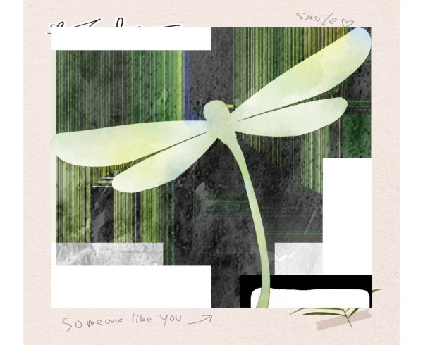 王一博：从街舞少年到全能之星的蜕变之路