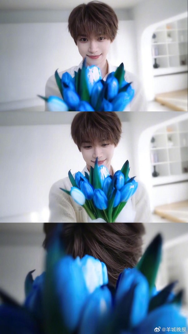 小学生作文记录梓渝音乐节盛况，妈妈拍照忘我