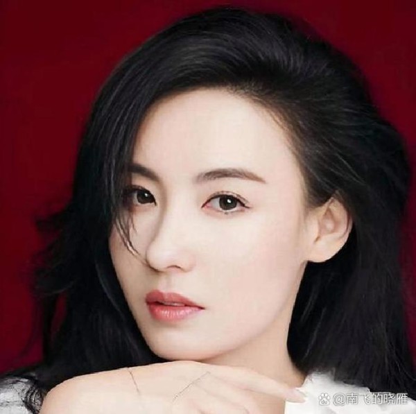 张柏芝的人生轨迹背后，藏着怎样...@南飞的晓雁的动态