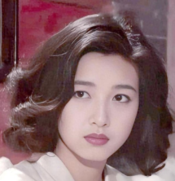 五位50+女明星的精彩人生轨迹