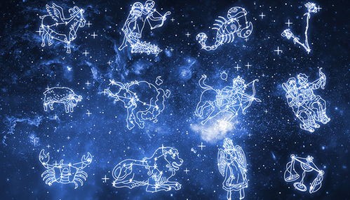 温小雨什么星座