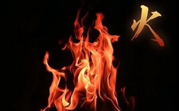 庚申日柱女命是来还债的 说说替夫还债的明星刘涛