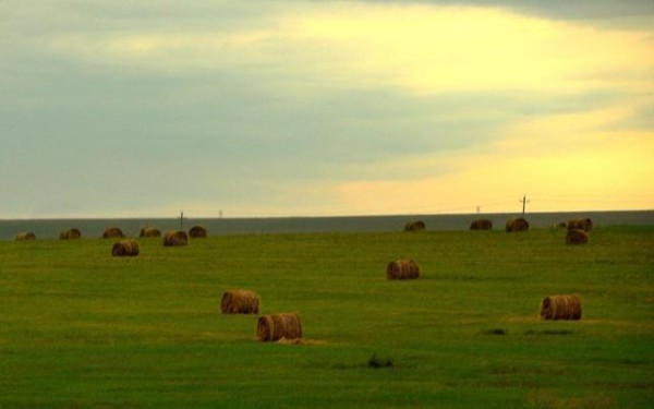 命书上的预言是什么 命理大师预言的明星