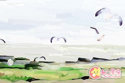 十二星座男最喜欢的体坛明星是谁？