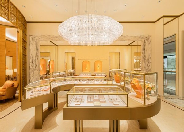 明星梦背后的陷阱：深揭“造星”骗局的惊人内幕