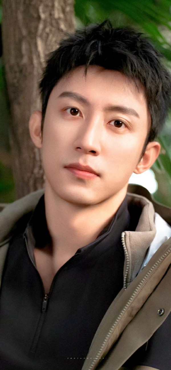 揭秘：流量背后的人设崩塌与商业秘密