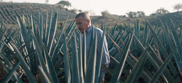 体育明星为何钟爱酒生意？ 