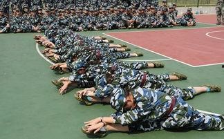 每日聪慧吃瓜军训舞蹈