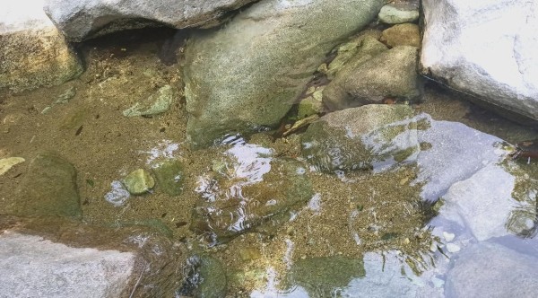 明星企业家的偶像困境与自我救赎之道