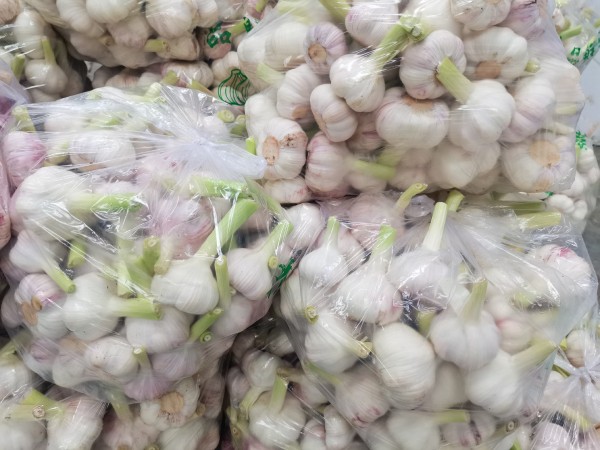 苍山红蒜分级包装车间实景