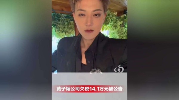 黄子韬欠税风波后首发声：钱已补缴，网友却不买账：形象碎一地