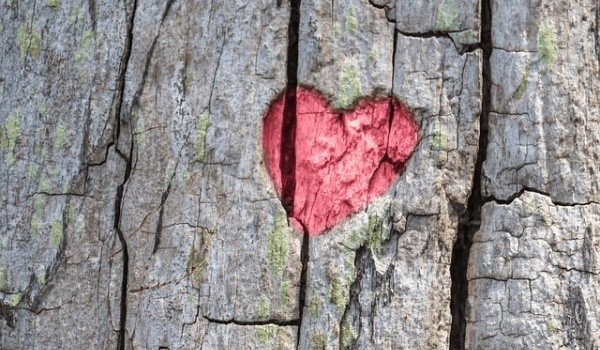 苏珊米勒2023年6月星座运程：白羊座、金牛座财运亨通指南