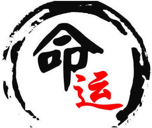 1997年11月18日3点4点出生的日干命运,1997年农历十月十九寅时生人命运预测