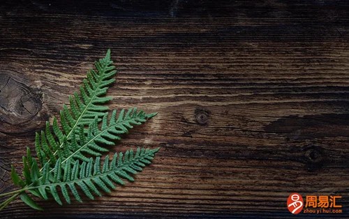 网络公认十大算命高手：当今最顶级的算命大师