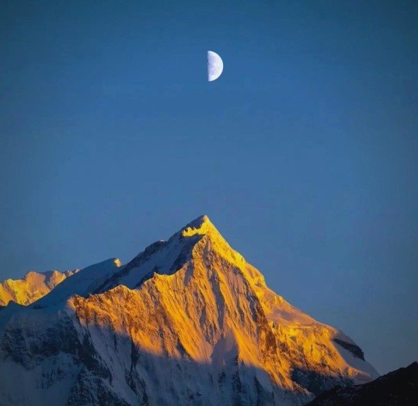 星象揭秘：金星位置与职业适配的关系