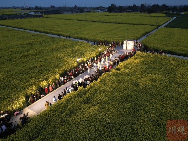 C视频｜油菜田变T台 德阳这场乡村秀太“潮”了