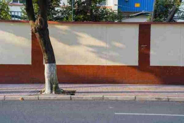 热播榜单｜欧美一区二区三区短视频流行趋势盘点