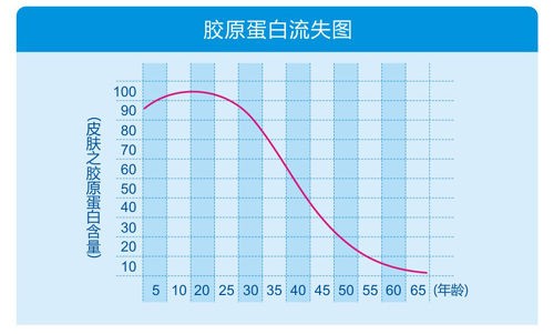 人体胶原蛋白流失年龄图