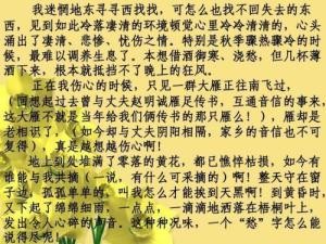 声声慢·寻寻觅觅(译文）