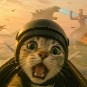 香江1980，我和天后互穿了