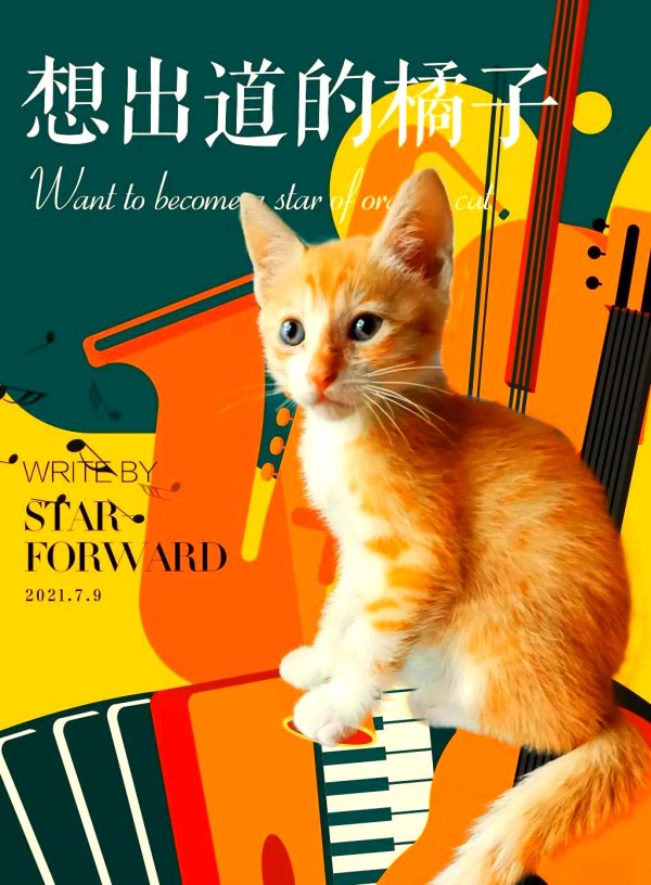 练习生选拔中的颜值与话题性：哪个更重要？