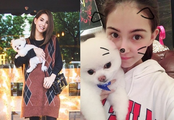 歌坛天后爱犬大PK！盘点8只明星的超萌毛小孩