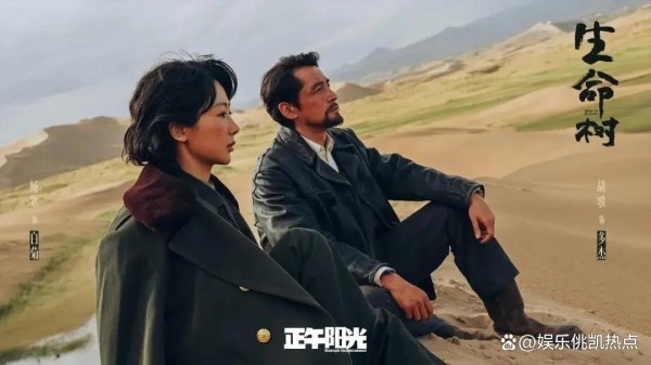 胡歌杨紫的新身份引热议：为何这次青海生态文化传播大使的任命不容忽视？