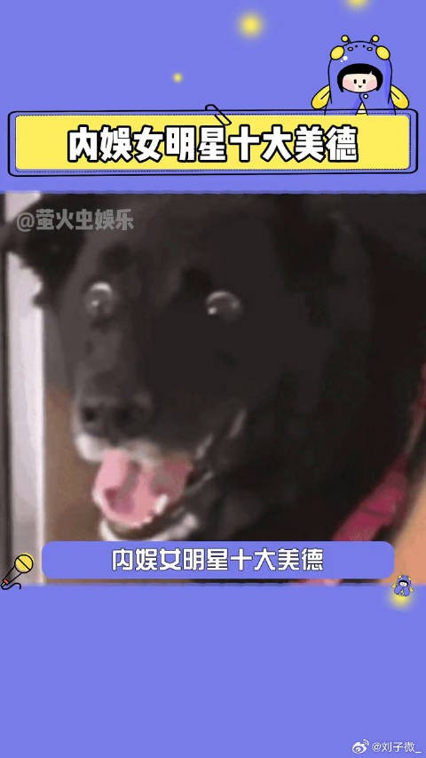 内娱女明星传统美德be like：杨幂 娱乐评论大赏