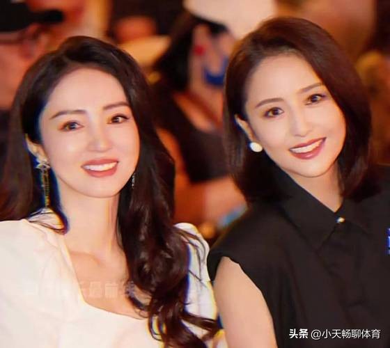 明星对对碰,探索娱乐圈中的奇妙互动