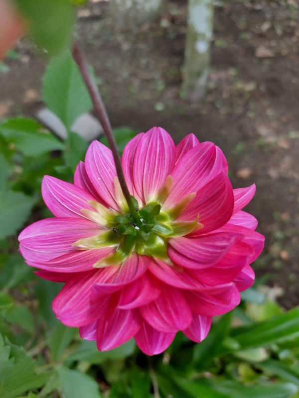 人生的蜕变与成长