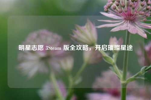 明星志愿 3Steam 版全攻略，开启璀璨星途