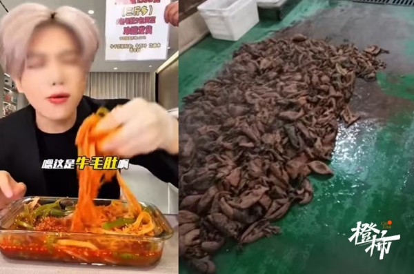 网红“鹿哈”带货的“贡菜千层肚”，被曝生产环境令人作呕！官方通报：已立案调查