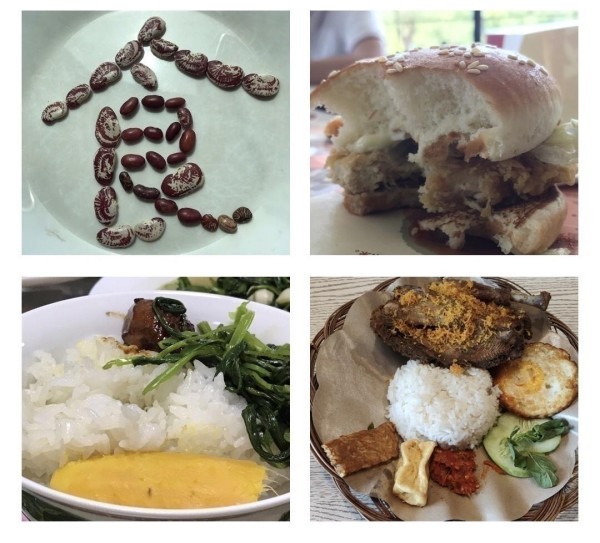 节约粮食=保护环境！我们能做些什么？